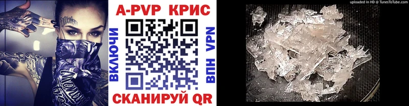 A PVP СК КРИС  Волхов 